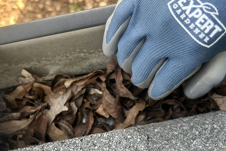 Brown Deer Gutter Cleaning